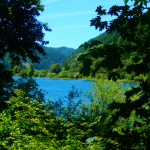 blog Umpqua River (2)